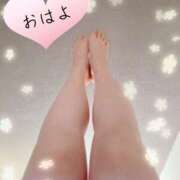 ヒメ日記 2026/02/22 08:35 投稿 かな ぽっちゃりきぶん