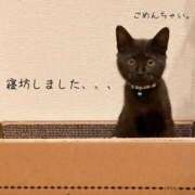 ヒメ日記 2026/02/23 12:18 投稿 かな ぽっちゃりきぶん