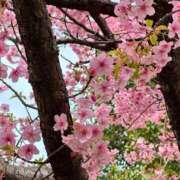 ヒメ日記 2026/02/27 19:56 投稿 かな ぽっちゃりきぶん