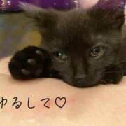 ヒメ日記 2026/03/18 19:38 投稿 かな ぽっちゃりきぶん