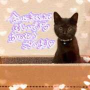 ヒメ日記 2026/03/20 17:00 投稿 かな ぽっちゃりきぶん