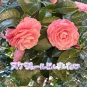 ヒメ日記 2026/03/23 16:16 投稿 かな ぽっちゃりきぶん