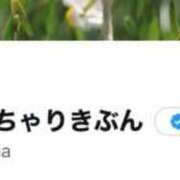 ヒメ日記 2026/03/30 21:02 投稿 かな ぽっちゃりきぶん