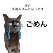 ヒメ日記 2026/04/12 00:38 投稿 かな ぽっちゃりきぶん