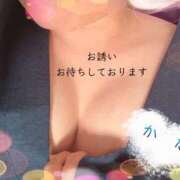 ヒメ日記 2026/04/18 07:08 投稿 かな ぽっちゃりきぶん