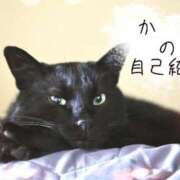 ヒメ日記 2026/07/17 12:33 投稿 かな ぽっちゃりきぶん