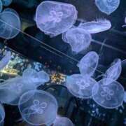 ヒメ日記 2026/03/22 15:44 投稿 まなか 恋のうた