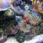 ヒメ日記 2026/03/28 12:53 投稿 まなか 恋のうた