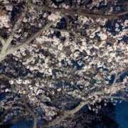 ヒメ日記 2026/04/09 17:42 投稿 まなか 恋のうた