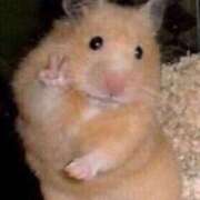 ヒメ日記 2026/02/02 18:41 投稿 ちあき Queen Angel(クイーンエンジェル)