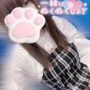 ヒメ日記 2026/02/07 10:18 投稿 ねる 小田原人妻城