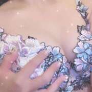 ヒメ日記 2026/02/14 13:35 投稿 美波かな コウテイ