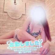 ヒメ日記 2026/02/24 10:17 投稿 美波かな コウテイ