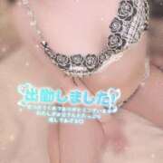 ヒメ日記 2026/06/20 10:29 投稿 美波かな コウテイ