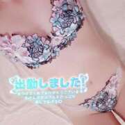 ヒメ日記 2026/06/21 09:01 投稿 美波かな コウテイ