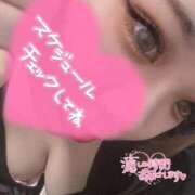 ヒメ日記 2026/02/06 06:12 投稿 せいら 君とふわふわプリンセスin立川