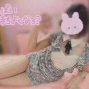 ヒメ日記 2026/02/09 08:31 投稿 さくらこ プレミアム(福原)