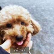 ヒメ日記 2026/02/22 12:30 投稿 八木ちさき 五反田マーマレード(ユメオト)