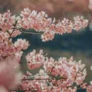 ヒメ日記 2026/03/01 20:30 投稿 八木ちさき 五反田マーマレード(ユメオト)