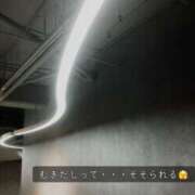 ヒメ日記 2026/03/06 20:01 投稿 八木ちさき 五反田マーマレード(ユメオト)