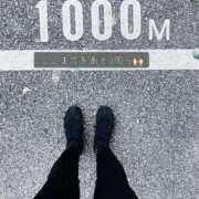 ヒメ日記 2026/03/18 06:30 投稿 八木ちさき 五反田マーマレード(ユメオト)