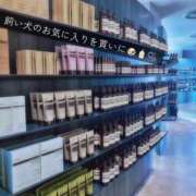 ヒメ日記 2026/05/06 20:01 投稿 八木ちさき 五反田マーマレード(ユメオト)