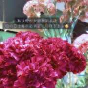 ヒメ日記 2026/05/09 12:31 投稿 八木ちさき 五反田マーマレード(ユメオト)
