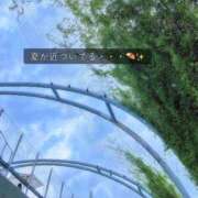 ヒメ日記 2026/07/04 17:18 投稿 八木ちさき 五反田マーマレード(ユメオト)