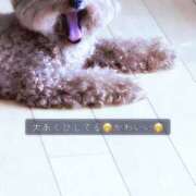 ヒメ日記 2026/07/07 17:01 投稿 八木ちさき 五反田マーマレード(ユメオト)