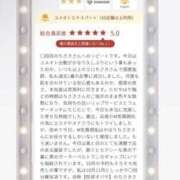 ヒメ日記 2026/09/16 20:00 投稿 八木ちさき 五反田マーマレード(ユメオト)