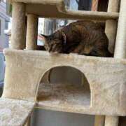 ヒメ日記 2026/02/11 09:45 投稿 みけ ぷるるん小町梅田店