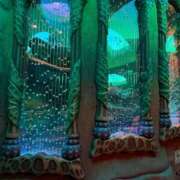 ヒメ日記 2026/03/13 17:32 投稿 みけ ぷるるん小町梅田店