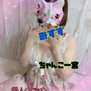 ヒメ日記 2026/04/02 15:54 投稿 みすず 一宮稲沢小牧ちゃんこ