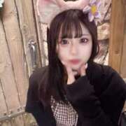 マイ 次回14日? マテリアル