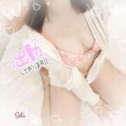 ヒメ日記 2026/04/01 00:22 投稿 せら 名古屋回春性感マッサージ倶楽部