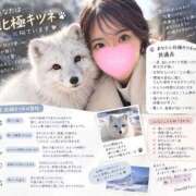 ヒメ日記 2026/09/29 11:02 投稿 あんり【大人女子】 Select(セレクト)