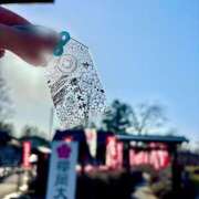 ヒメ日記 2026/03/03 07:33 投稿 新人しの 奥様メモリアル