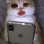 ヒメ日記 2026/02/12 19:34 投稿 ゆい ぱじゃまぱーてぃー