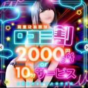 ヒメ日記 2026/02/18 19:00 投稿 りま ドMなバニーちゃん徳島店