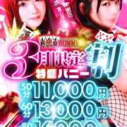 ヒメ日記 2026/03/08 17:00 投稿 りま ドMなバニーちゃん徳島店