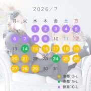 ヒメ日記 2026/06/23 10:02 投稿 りま ドMなバニーちゃん徳島店