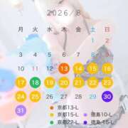 ヒメ日記 2026/08/13 20:02 投稿 りま ドMなバニーちゃん徳島店