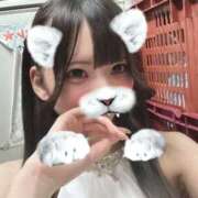 つばき しゅっきん ぱじゃまぱーてぃー