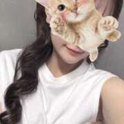 ヒメ日記 2026/03/28 21:00 投稿 みみ ぱじゃまぱーてぃー