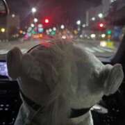 ななせ 🐴🐴🐴 お姉さんSelect