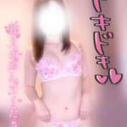 ヒメ日記 2026/02/19 01:00 投稿 鮎川　あいり OLセレクション宇都宮店