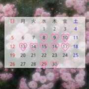 ヒメ日記 2026/04/07 21:23 投稿 鮎川　あいり OLセレクション宇都宮店