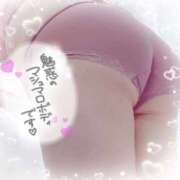 ヒメ日記 2026/02/15 09:57 投稿 ゆき 福島郡山ちゃんこ