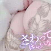 ヒメ日記 2026/02/28 09:57 投稿 ゆき 福島郡山ちゃんこ