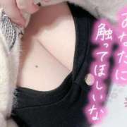 ヒメ日記 2026/03/15 10:17 投稿 ゆき 福島郡山ちゃんこ